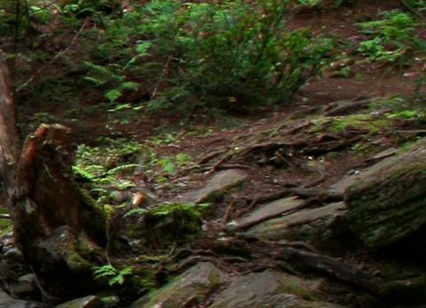 国家的崛起征战世界百度云