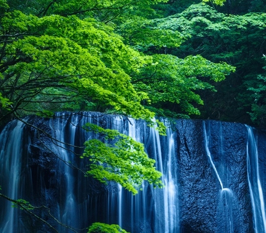 世界末日预言