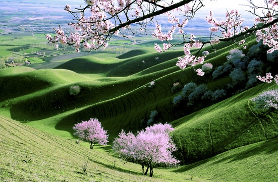 中国网络科技有限公司打进去的钱可以退吗