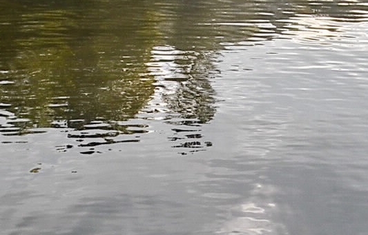 我爱这残损的世界