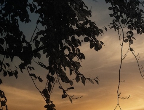 海底世界边框图