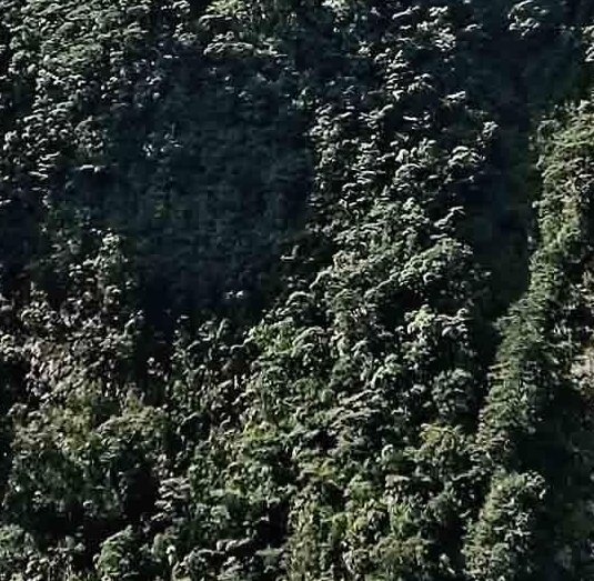迷你世界版本:迷你世界版本遭遇444诡异事件，震撼惊悚令人胆寒