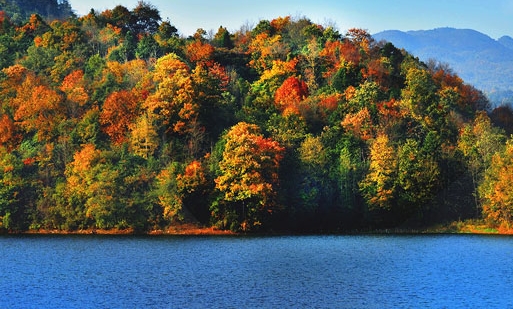 刺客信条枭雄第一次世界大战helix错误