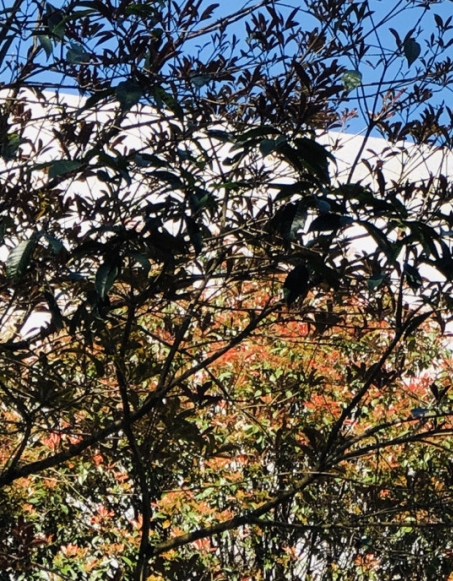 中国十大著名出版社