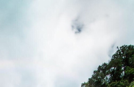 触动我心灵的风景600字