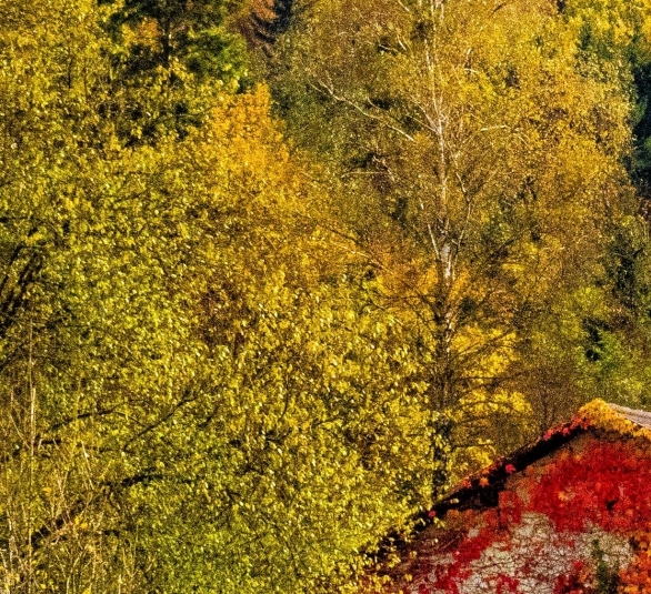 沙特阿拉伯世界地图