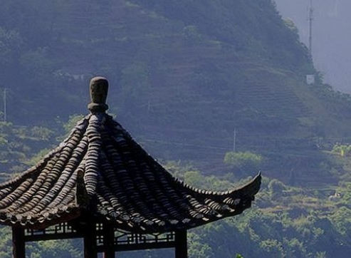 mhw自由任务全清攻略