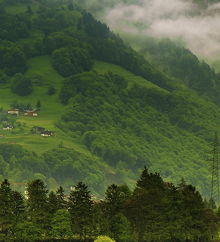胡远行科技有限公司官网首页