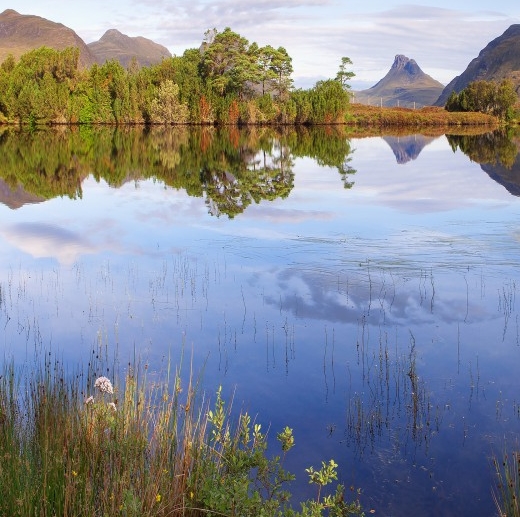 奥精医疗是国企还是私企