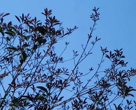 我的世界 指令大全