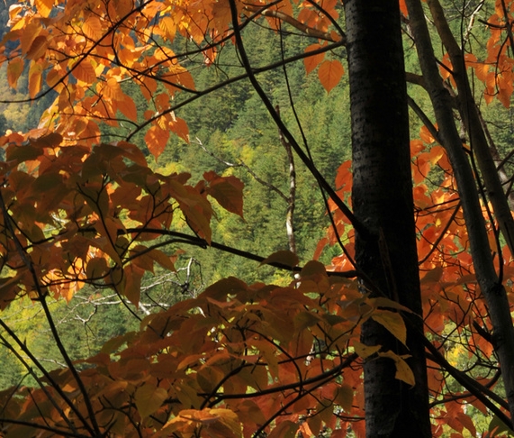 看过世界的人最想回家