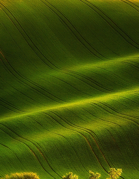 世界上最好的中性笔芯