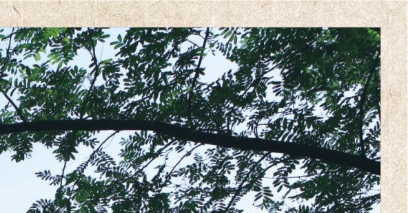 魔兽世界亚服正式服人口普查2023