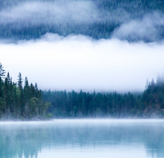 江苏绿能电力科技有限公司