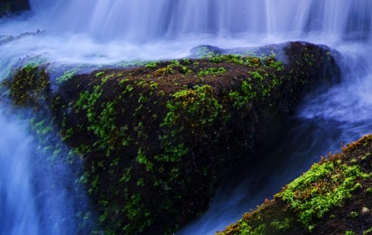 重庆科技馆作文600字初中