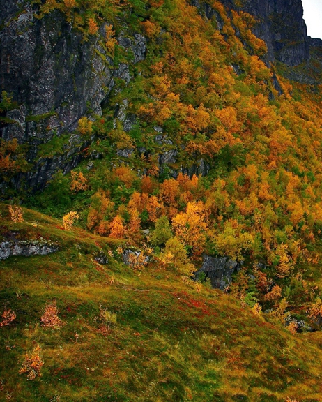 富煌集团是上市公司吗