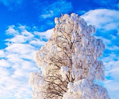 世界上最短的歌