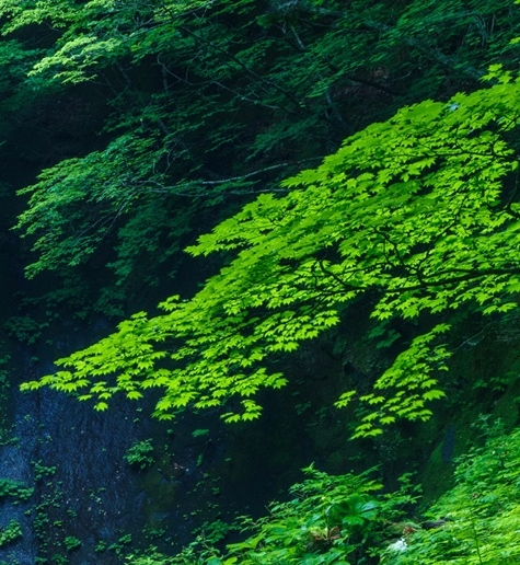 我的世界如何和好友联机生存手机版