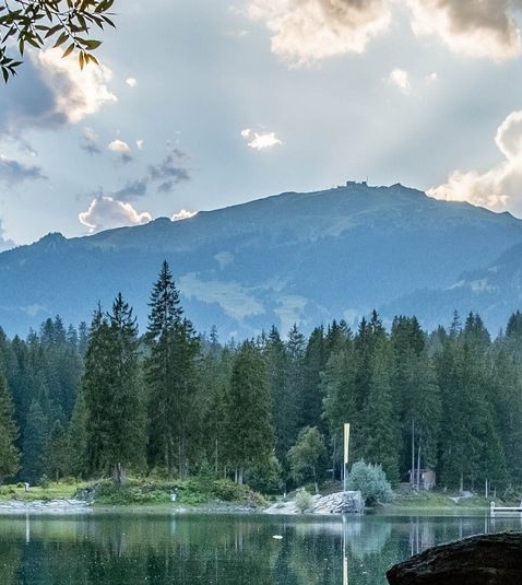 海牙大学世界排名第几