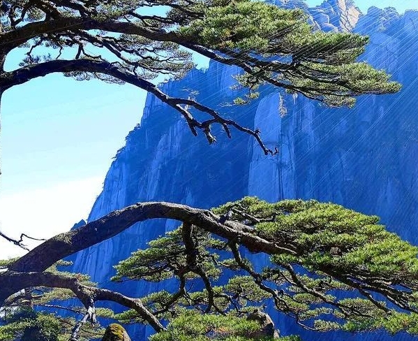 触动我心灵的风景