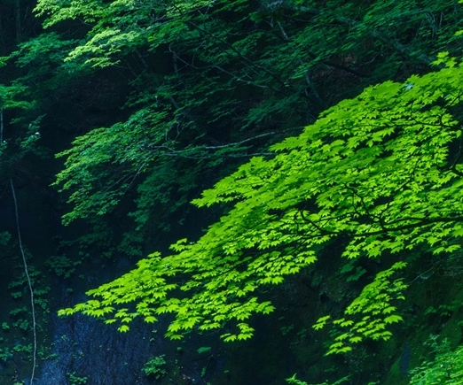全世界最高的山:全球最高峰及前十名