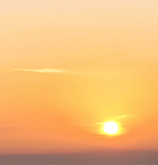 第15个禁毒月由来是什么