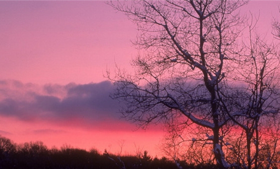 南通北新新能源科技有限公司