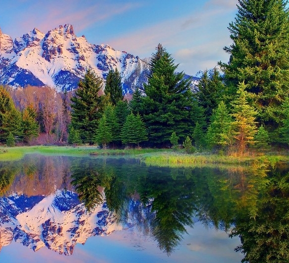 上海冠瑞集团董事长