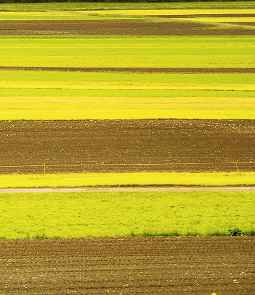 二年级科技口号大全
