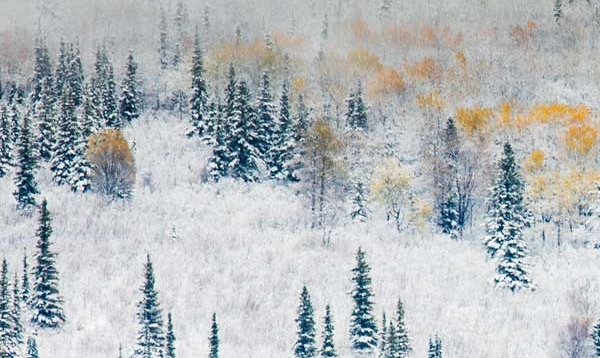 中能链加油站简介