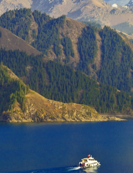 深圳虾皮程序员工资待遇