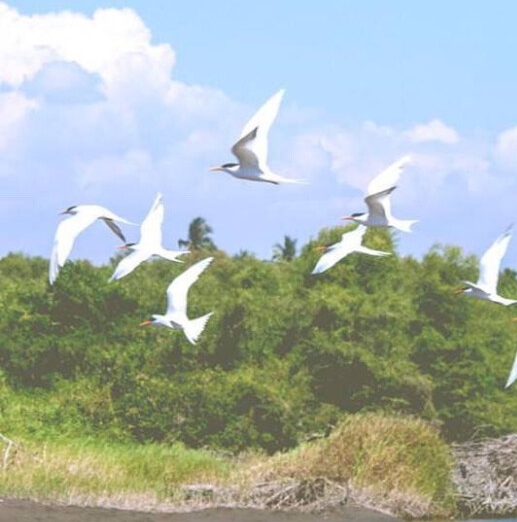 南京科技馆值得去吗