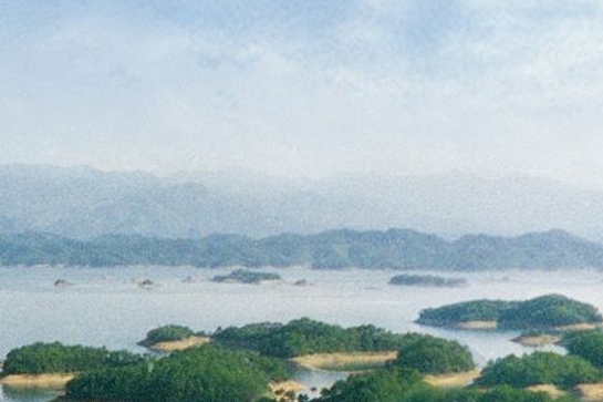 科技报告编号规则