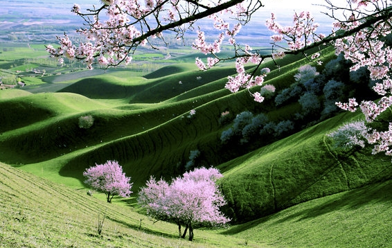 我的世界循声遗迹指令