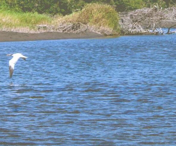 世界上最深的江