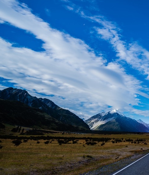 科技报告延期公开的原因怎么写