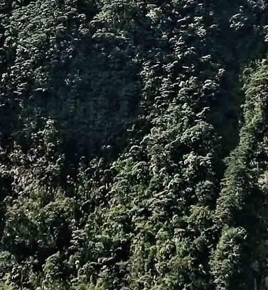 我的世界炼药表
