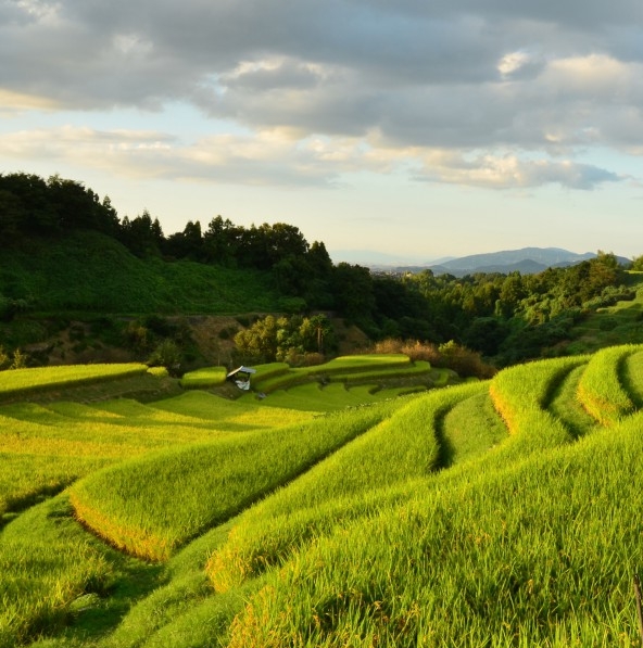 java版我的世界皮肤网站