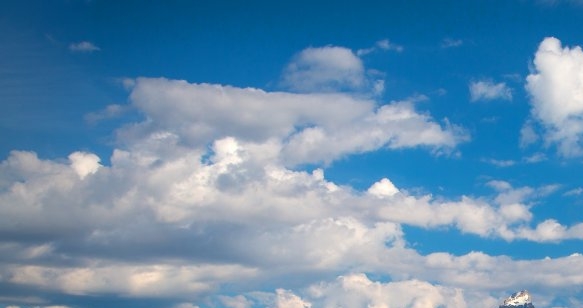 我的世界熊猫怎么带回家