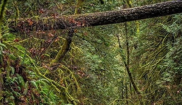 世界最豪华酒店排名