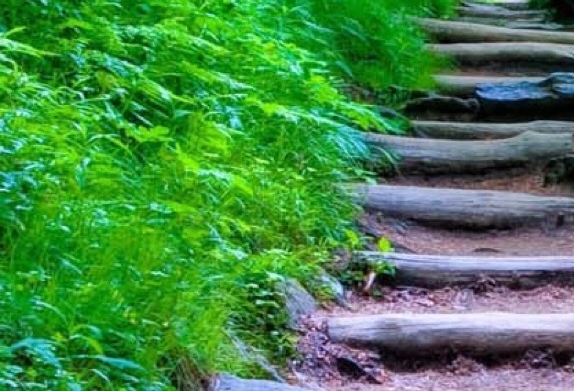 最猛的水火箭能飞多高