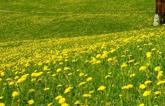 龙旗科技怎么样