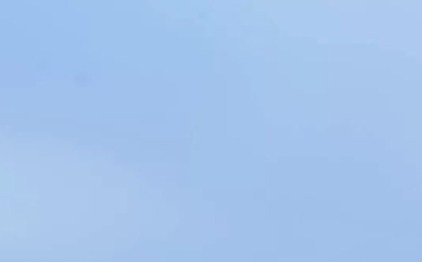 成都动鱼数码科技有限公司官网