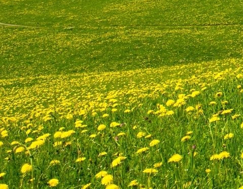 新时代科技发展作文