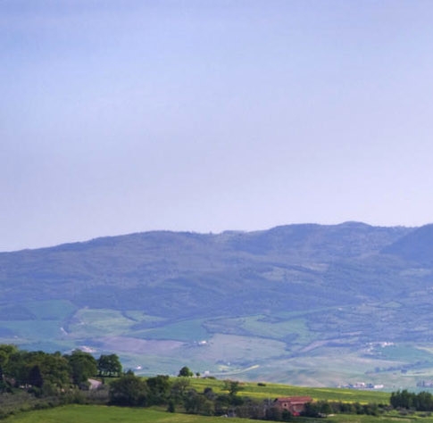 世界名犬狗狗品种大全