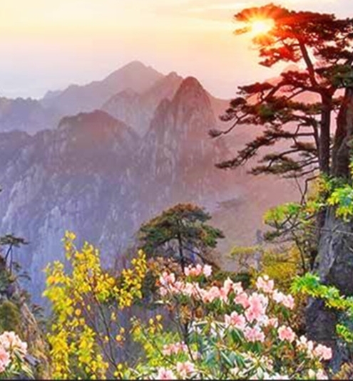 银丰基因科技有限公司电话