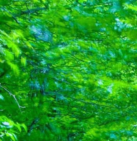 深圳吉阳是上市公司吗