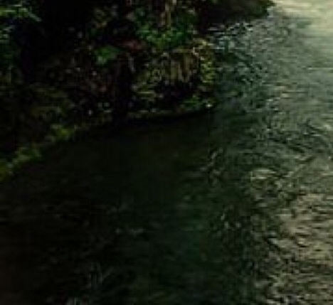 世界羽毛球冠军名单