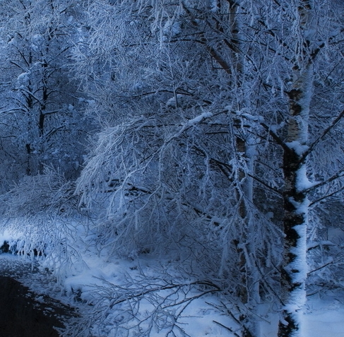 中石科技是创业板吗
