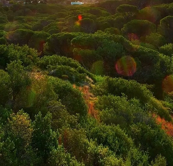 超清世界地图可放大下载
